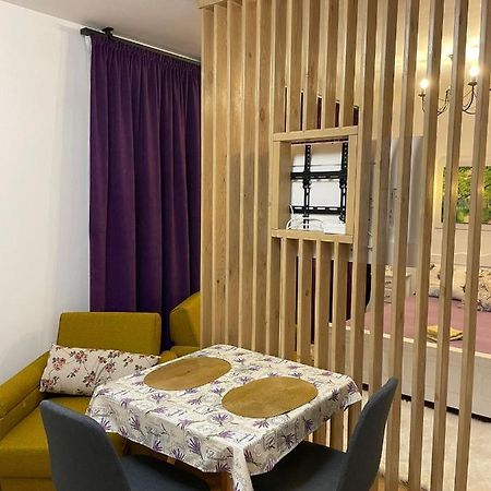 Apartament Gabriela 39 Baia Mare Exteriér fotografie