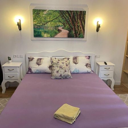 Apartament Gabriela 39 Baia Mare Exteriér fotografie
