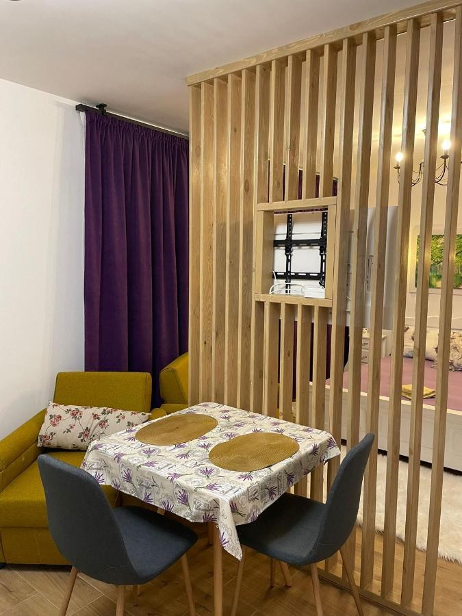 Apartament Gabriela 39 Baia Mare Exteriér fotografie