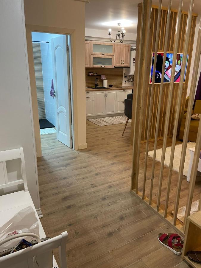 Apartament Gabriela 39 Baia Mare Exteriér fotografie