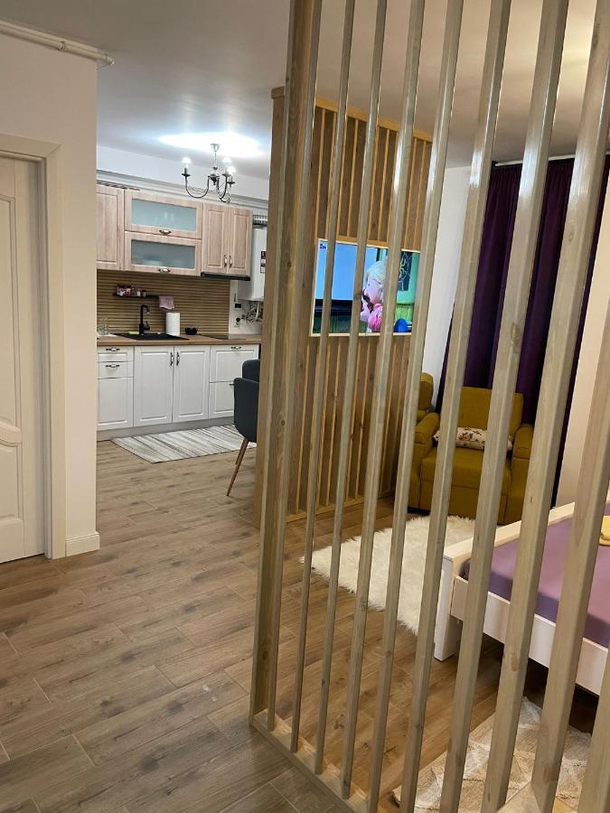 Apartament Gabriela 39 Baia Mare Exteriér fotografie