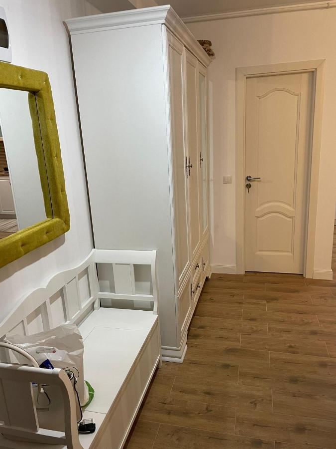 Apartament Gabriela 39 Baia Mare Exteriér fotografie