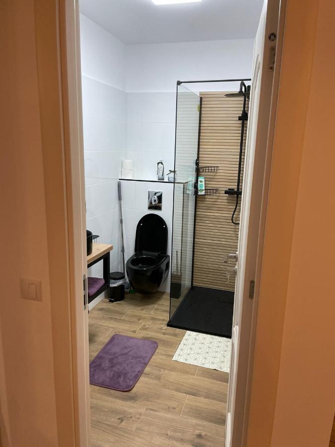 Apartament Gabriela 39 Baia Mare Exteriér fotografie