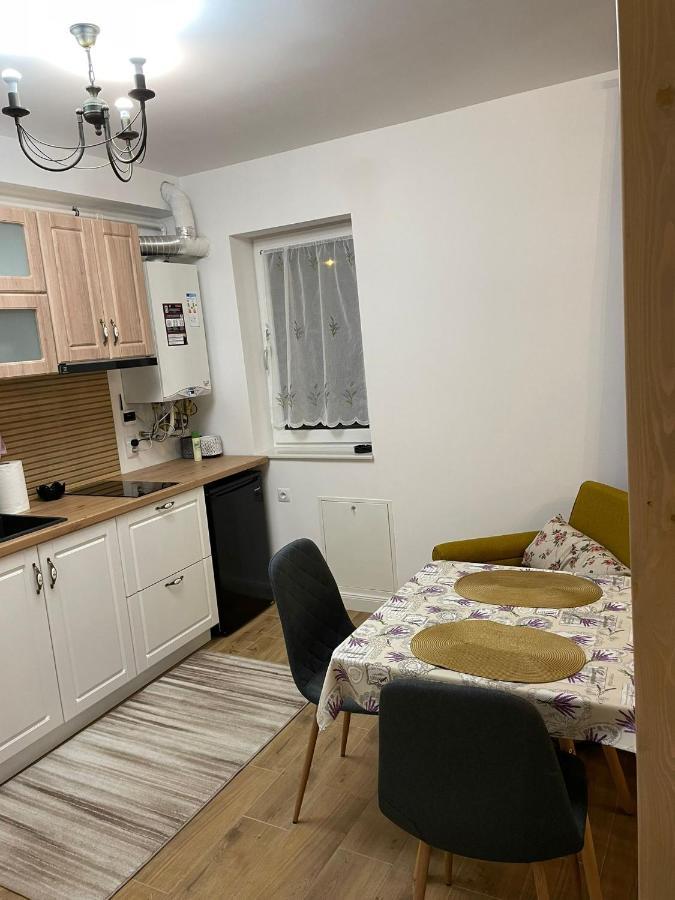 Apartament Gabriela 39 Baia Mare Exteriér fotografie