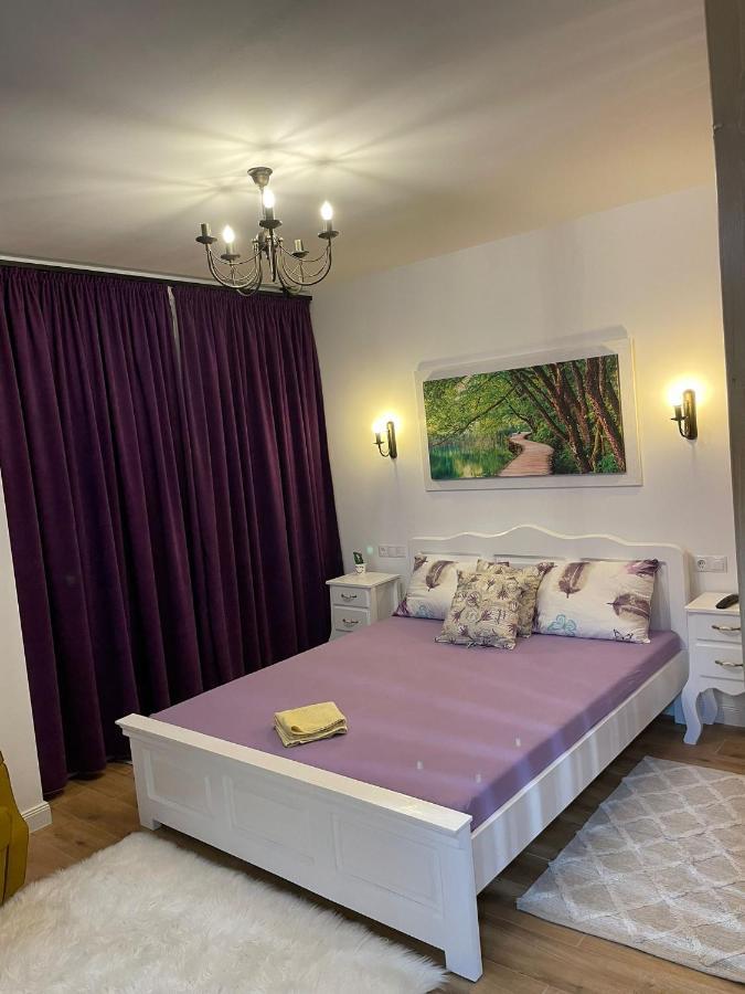 Apartament Gabriela 39 Baia Mare Exteriér fotografie
