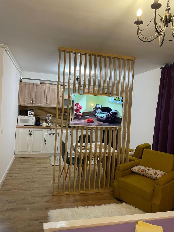 Apartament Gabriela 39 Baia Mare Exteriér fotografie