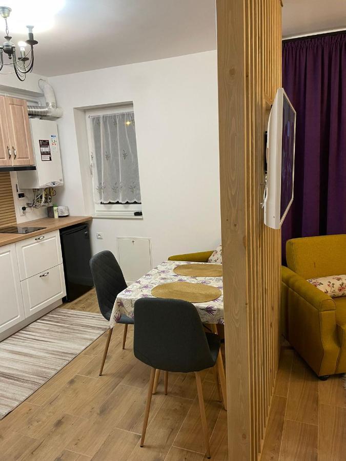 Apartament Gabriela 39 Baia Mare Exteriér fotografie