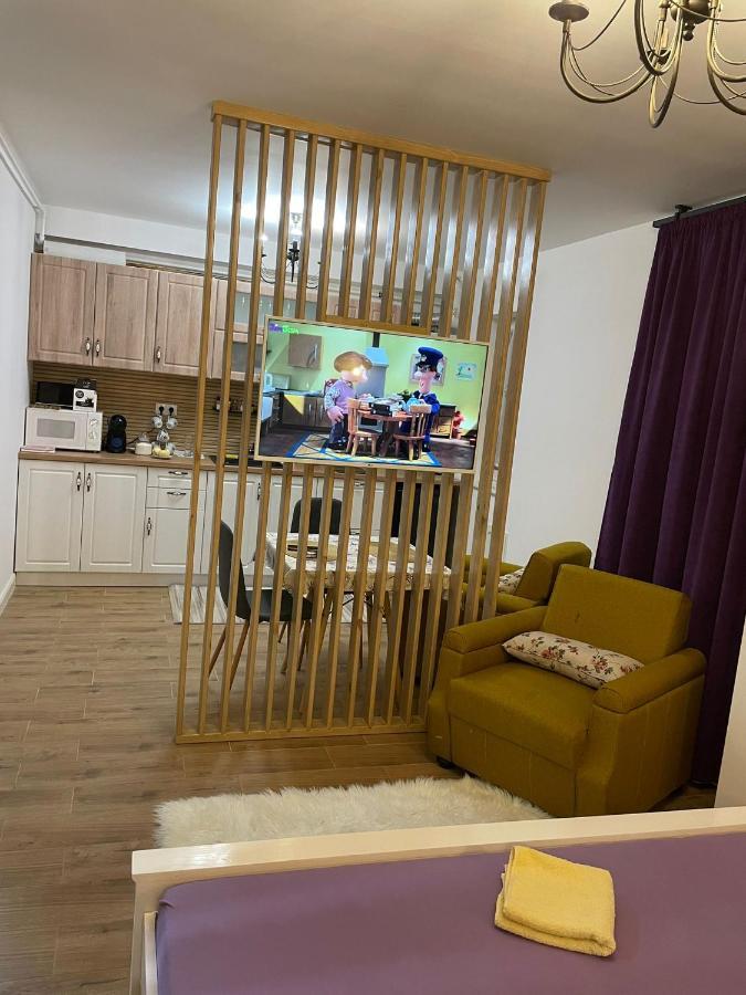 Apartament Gabriela 39 Baia Mare Exteriér fotografie