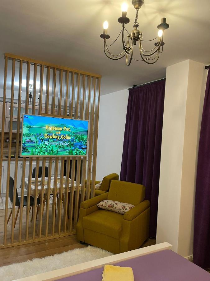 Apartament Gabriela 39 Baia Mare Exteriér fotografie