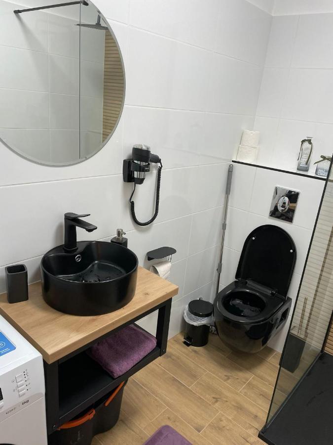 Apartament Gabriela 39 Baia Mare Exteriér fotografie