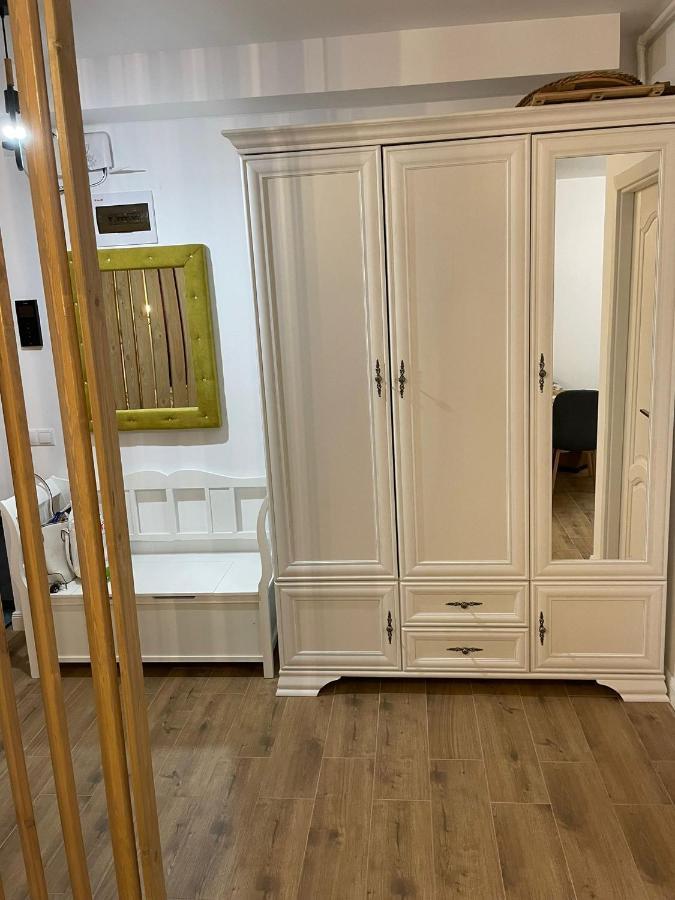 Apartament Gabriela 39 Baia Mare Exteriér fotografie
